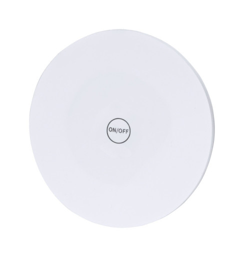 Stanfor coaster