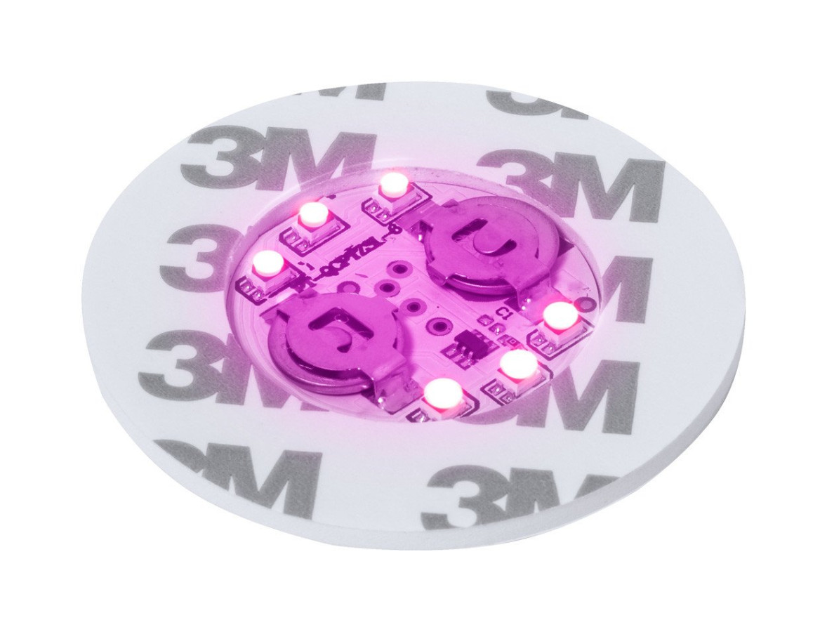Stanfor coaster
