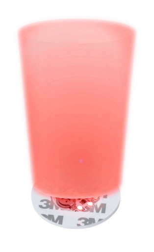 Stanfor coaster