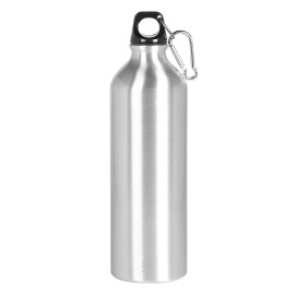 CAMPUS MAXI, sports bottle, 750 ml, silver