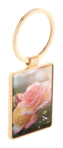 Ritidus keyring