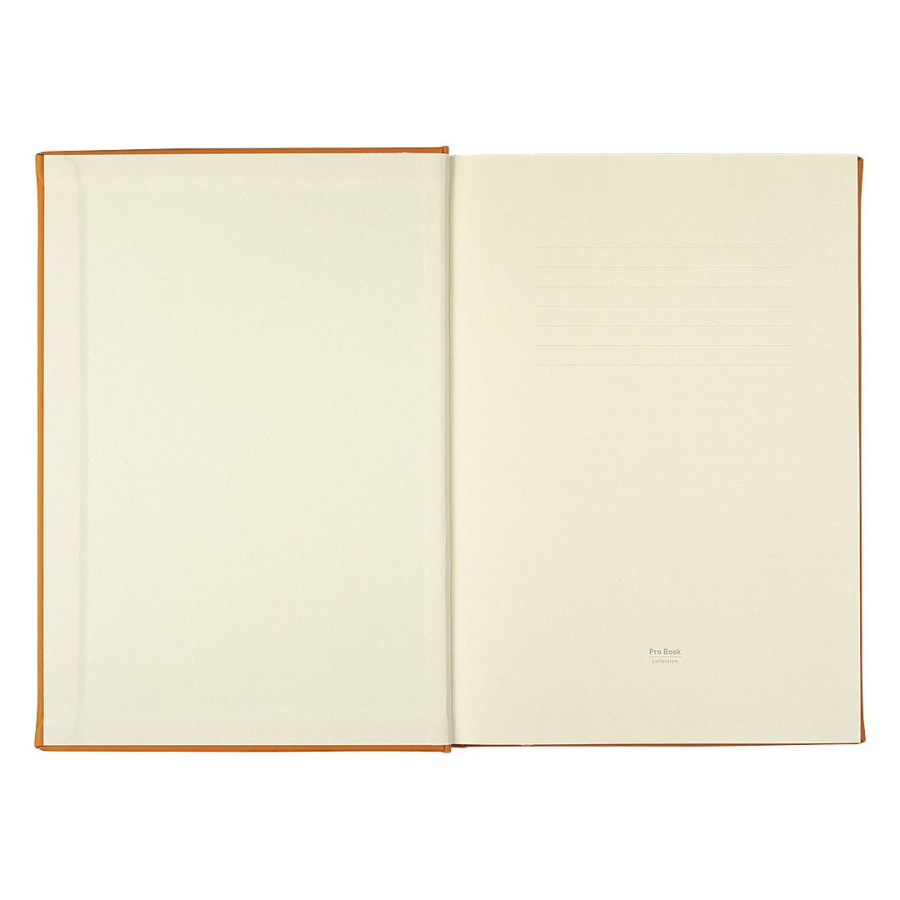 VENTURA, b5 agenda, azure
