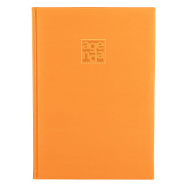 VENTURA, b5 agenda, orange