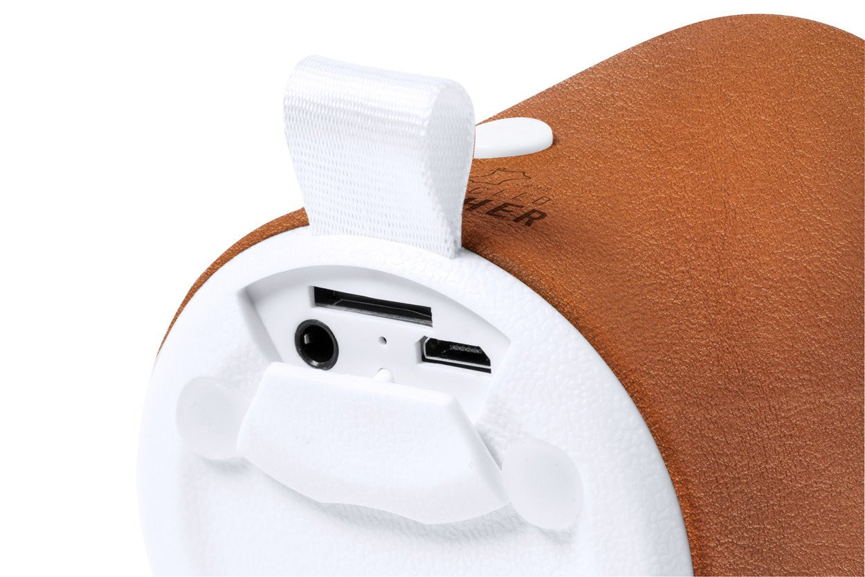 Sotep RCS bluetooth speaker