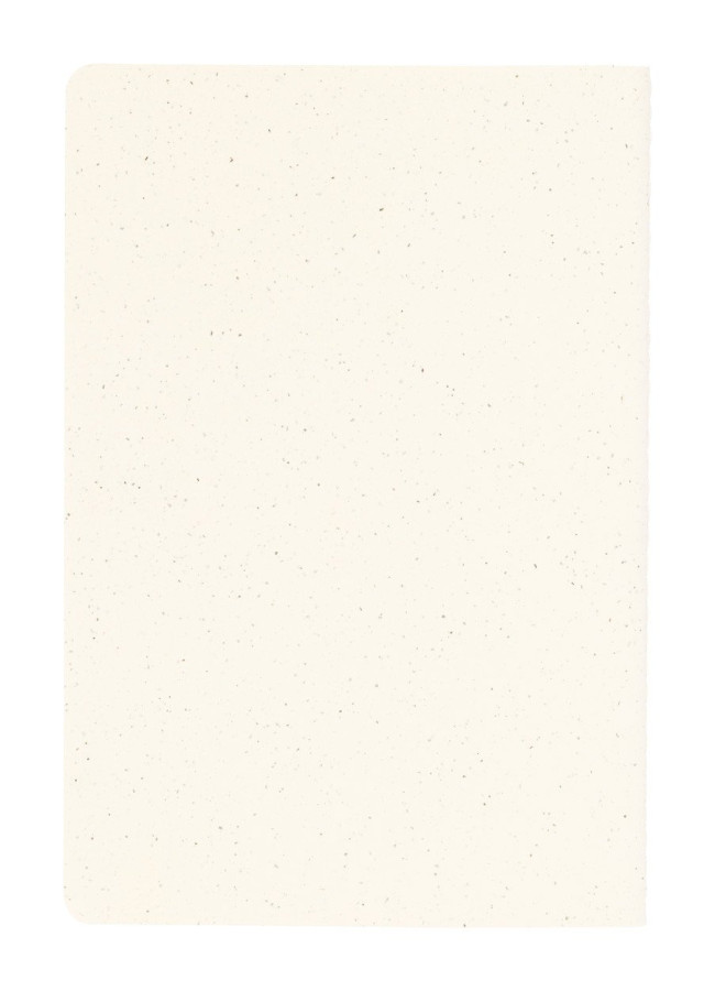 Kanlio notebook