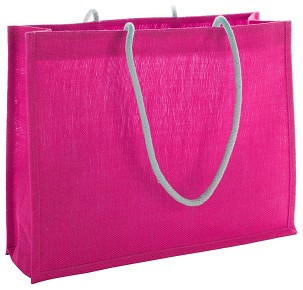 Hintol beach bag