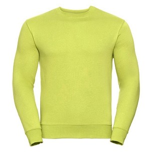RUSSELL men's AUTHENTIC sweatshirt