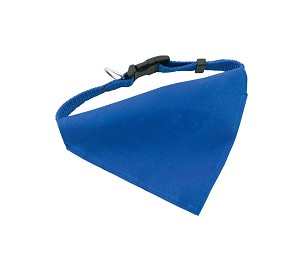 Roco dog's collar