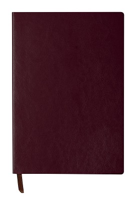 Paldon notes 