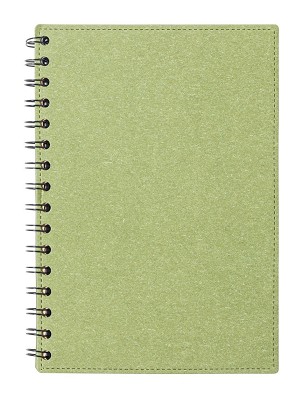 Idina notes 