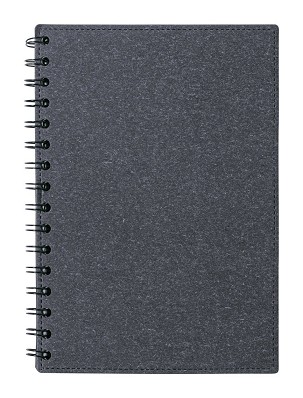 Idina notes 