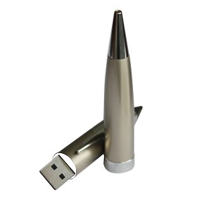 Sapucaia dirve memory for printing ESU-P09