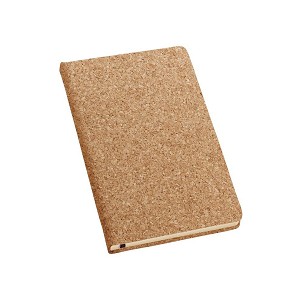 ADAMS A6. Notes